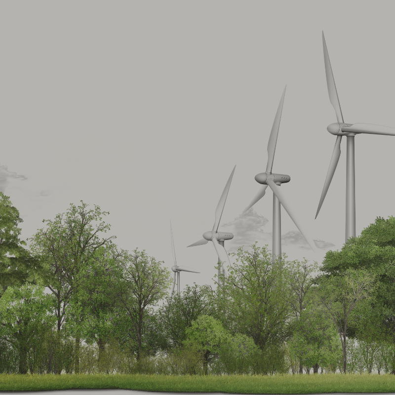 Ashorne Hill - Banner 505