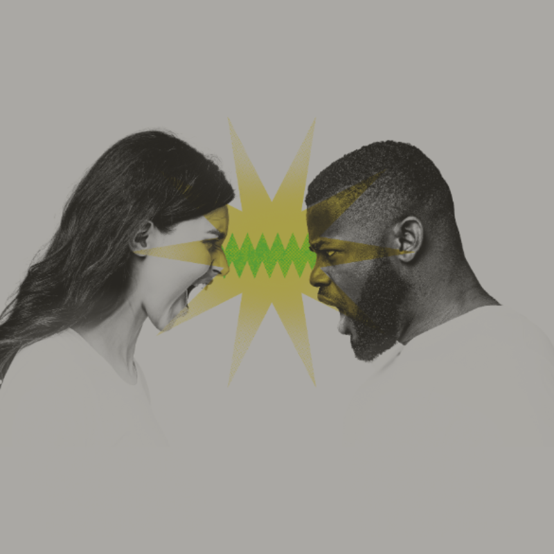 Ashorne Hill - Banner 505