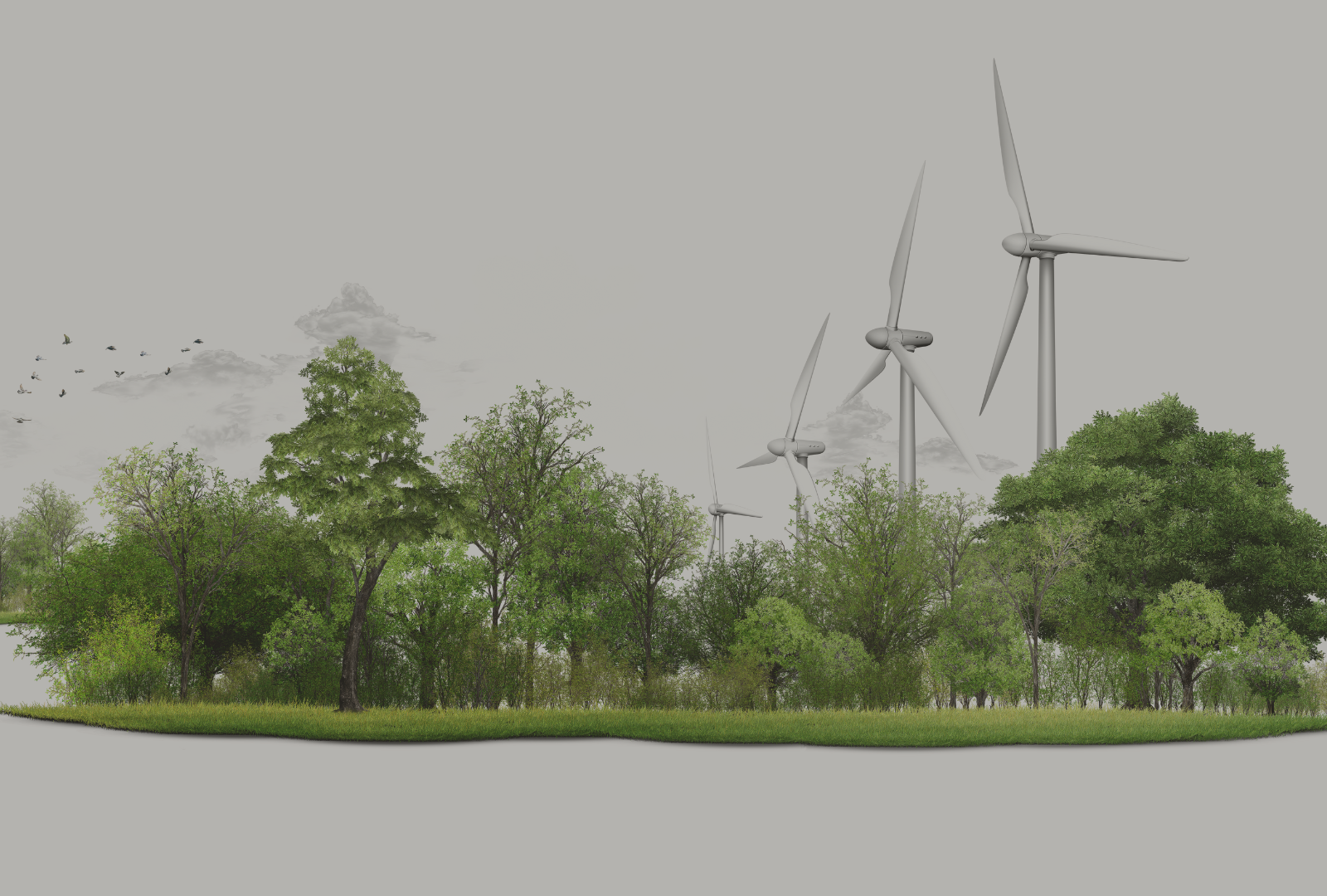 Ashorne Hill - Banner 505