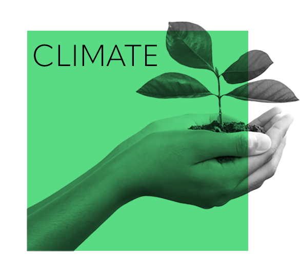 Card background image - Ashorne Hill