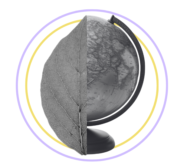 Card background image - Ashorne Hill